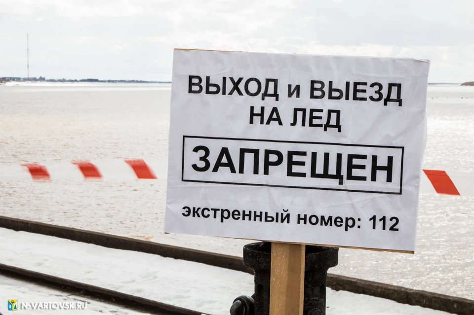 Фото: госкомитет по ЧС