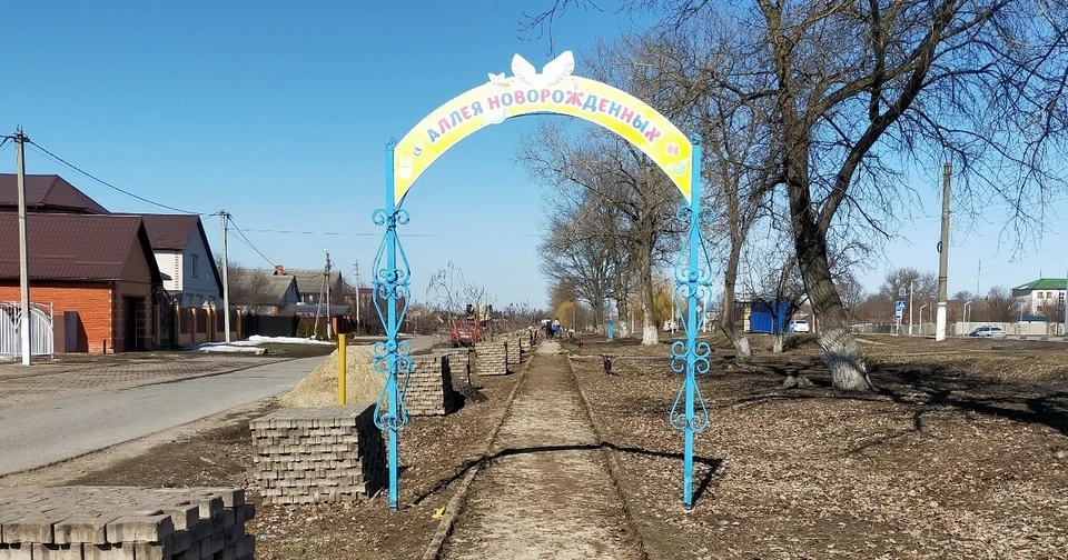За преображение общественного пространства проголосовали местные жители.