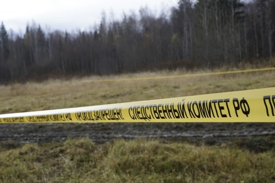 Женщина закопала тело новорожденного внука в огороде