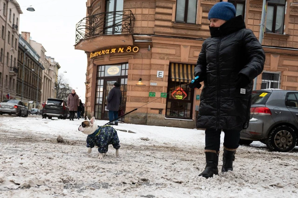 29 марта в Петербурге обещают небольшой снегопад.