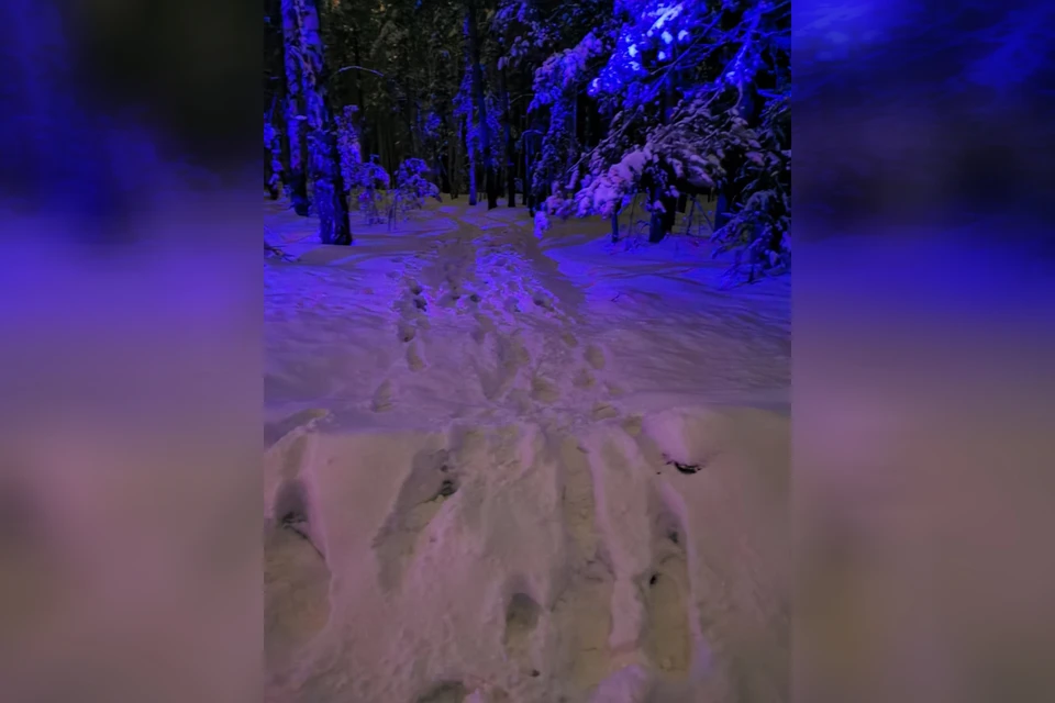 Фото: поисково-спасательная служба Челябинской области
