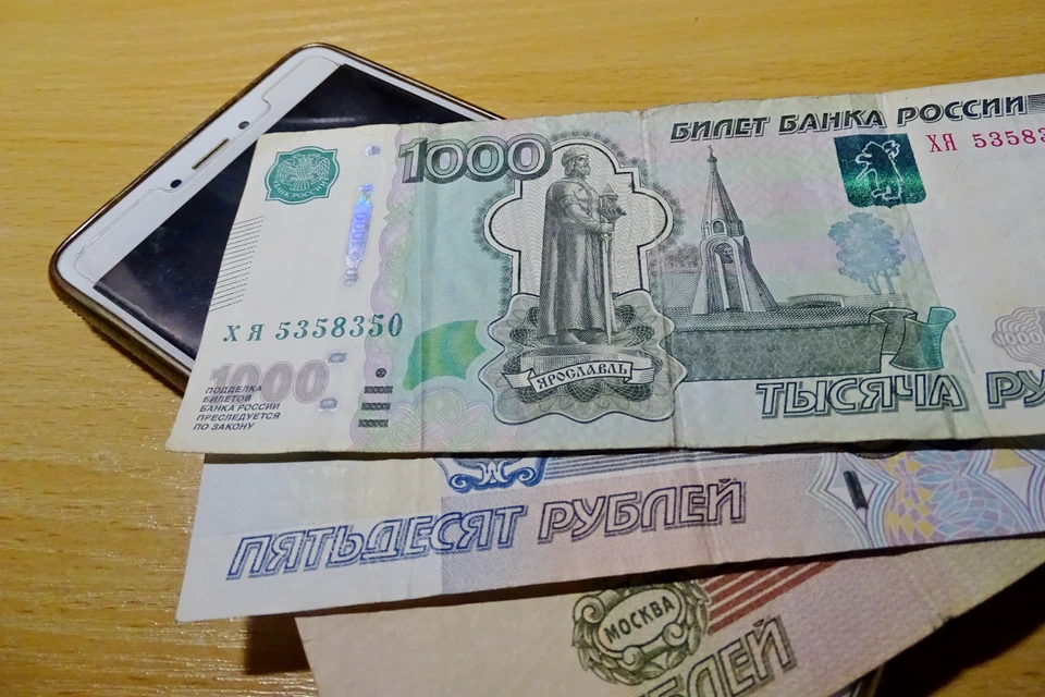 Мошенница из Липецка обманула микрофинансовую организацию