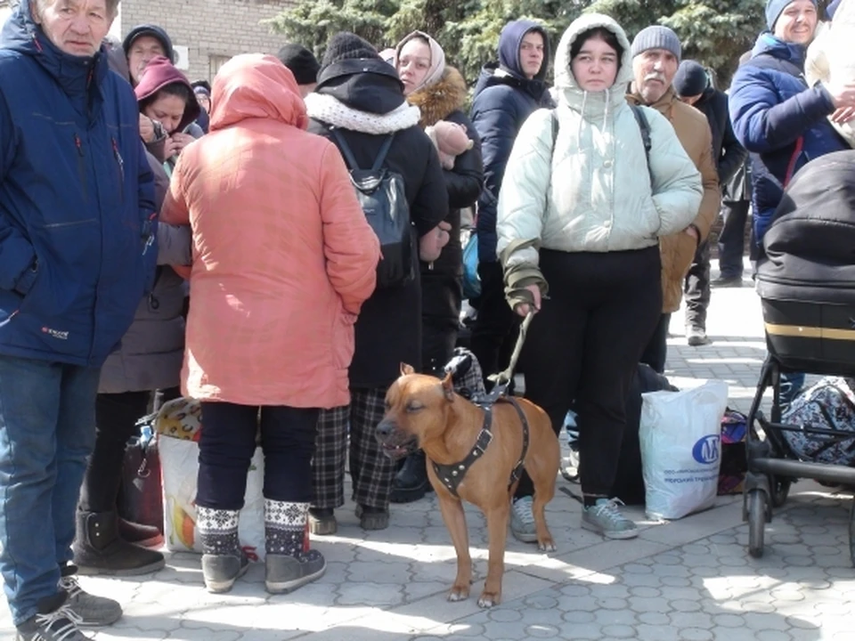 Беженцам предоставят все необходимые условия в случае необходимости