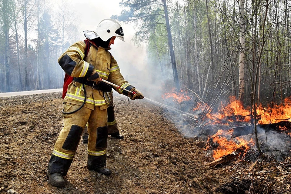 В Тюменской области с 15 апреля установили пожароопасный сезон.