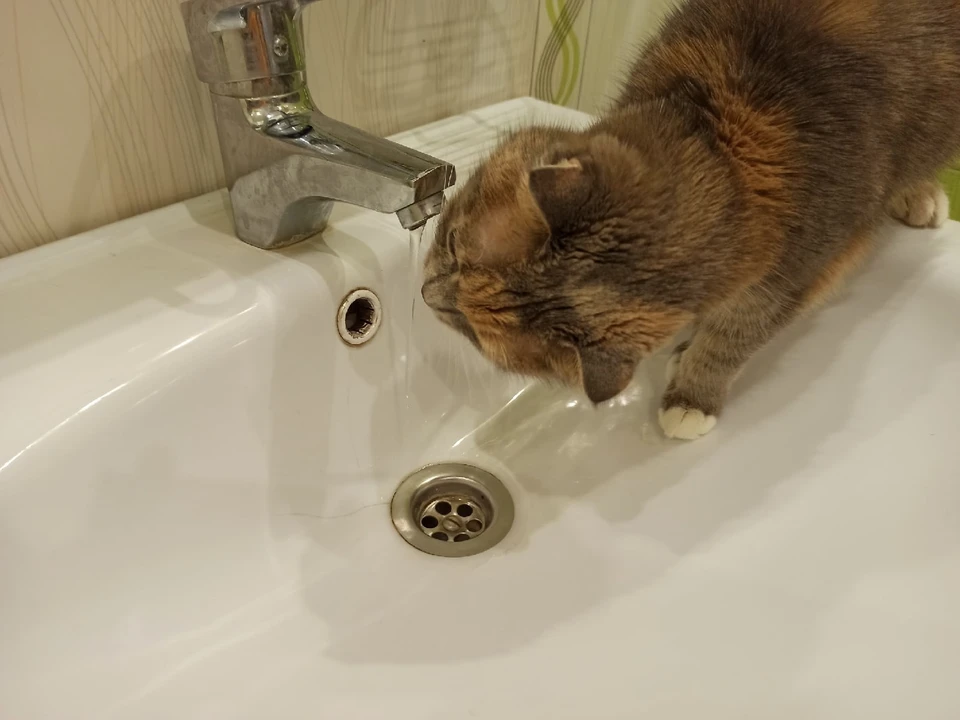 В тульском поселке Барсуки отключили холодную воду. Фото: Арина ВОРОНЦОВА,