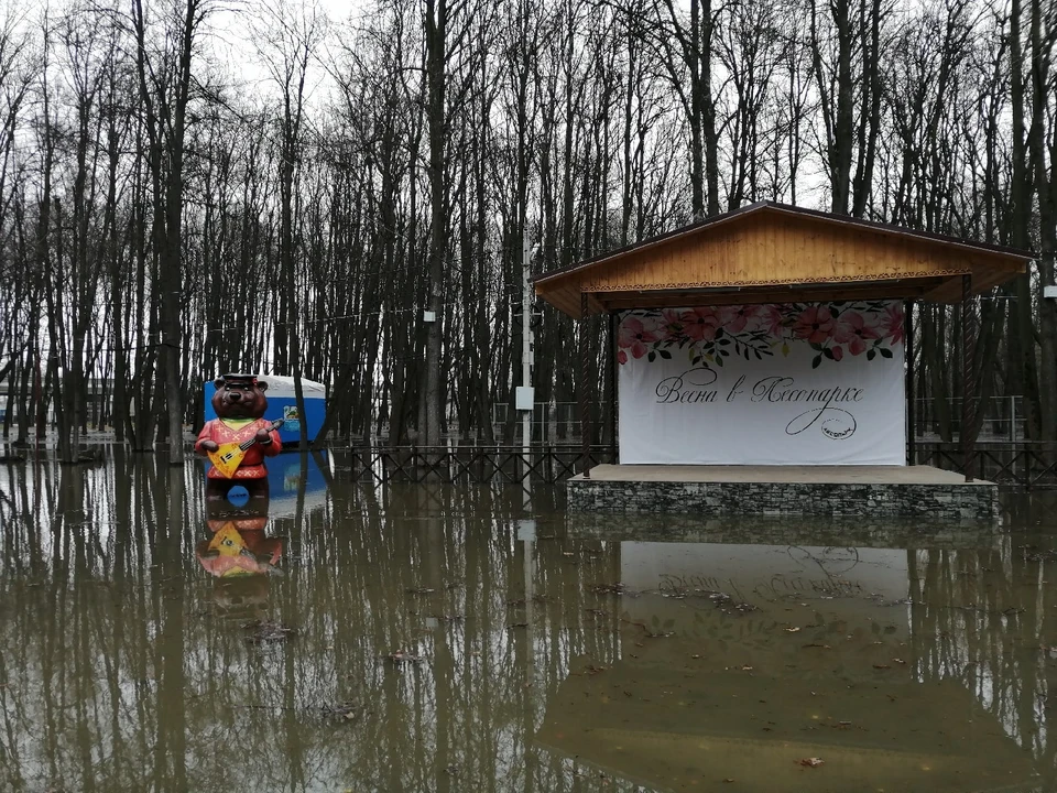 Паводковая вода добралась до рязанского Лесопарка. Фото: Татьяна КАРТЫШКОВА | Рязанский Формат.