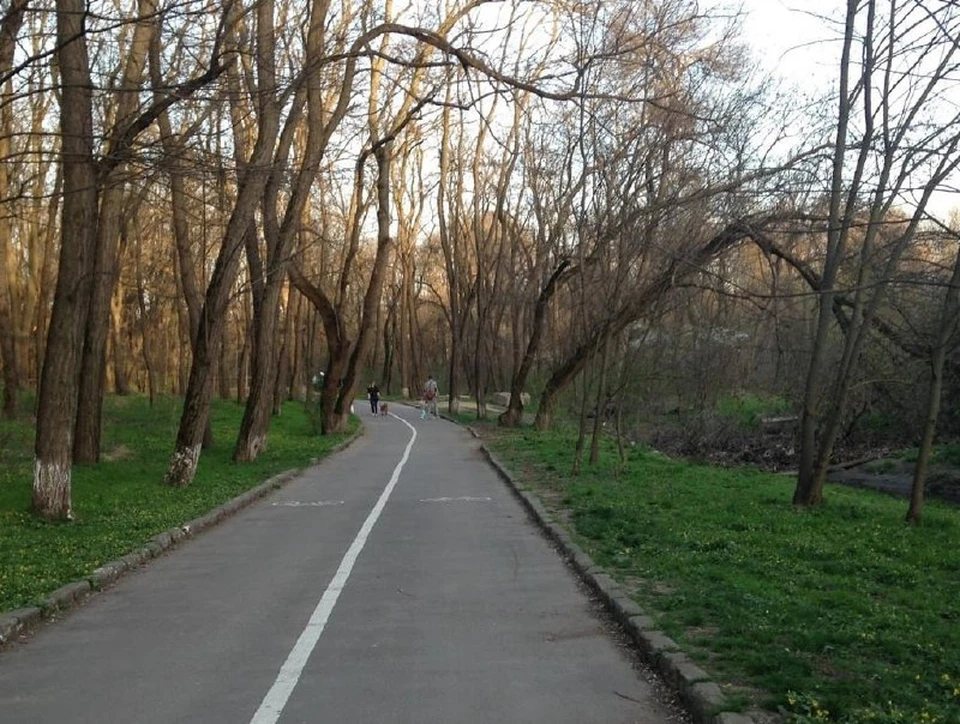 Парку Авиторов предстоит перенести щадящую модернизацию. Фото: сайт администрации Ростова.