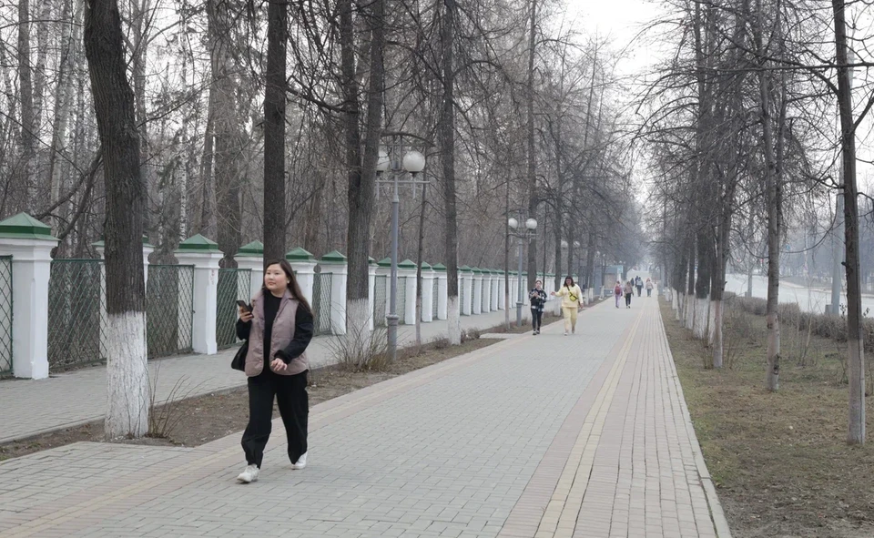 30 апреля и 1 мая в Томской области ночью ожидается +3…+10 градусов.