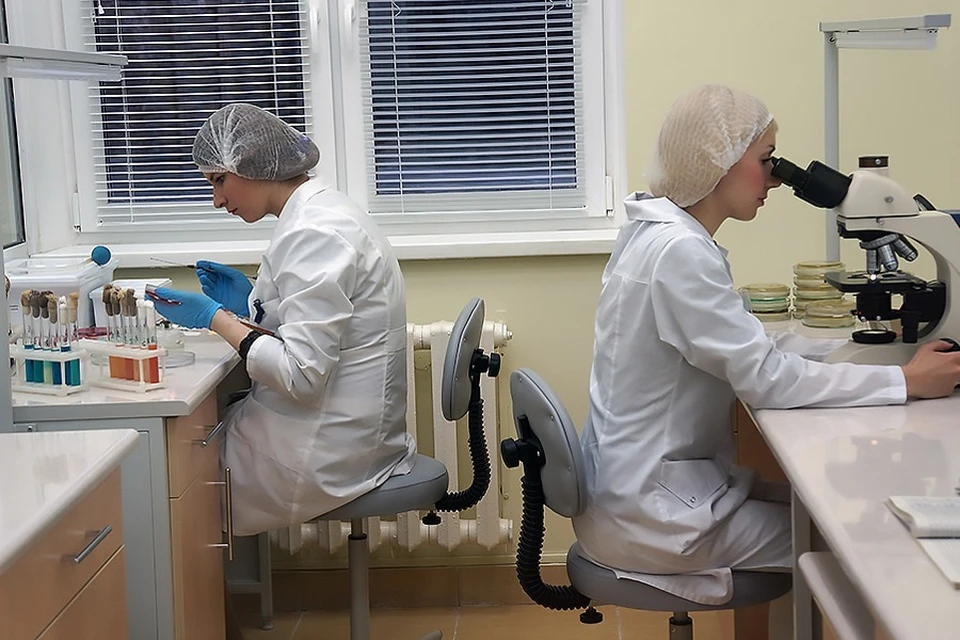 Специалисты исследуют продукцию, которая поступает в Беларусь для продажи. Фото: mogilev-region.gov.by