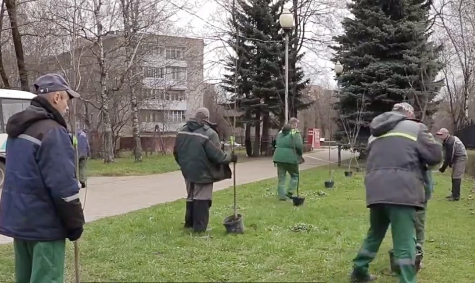 Смоленск присоединился к акции «Сад памяти». Фото: пресс-служба администрации города.