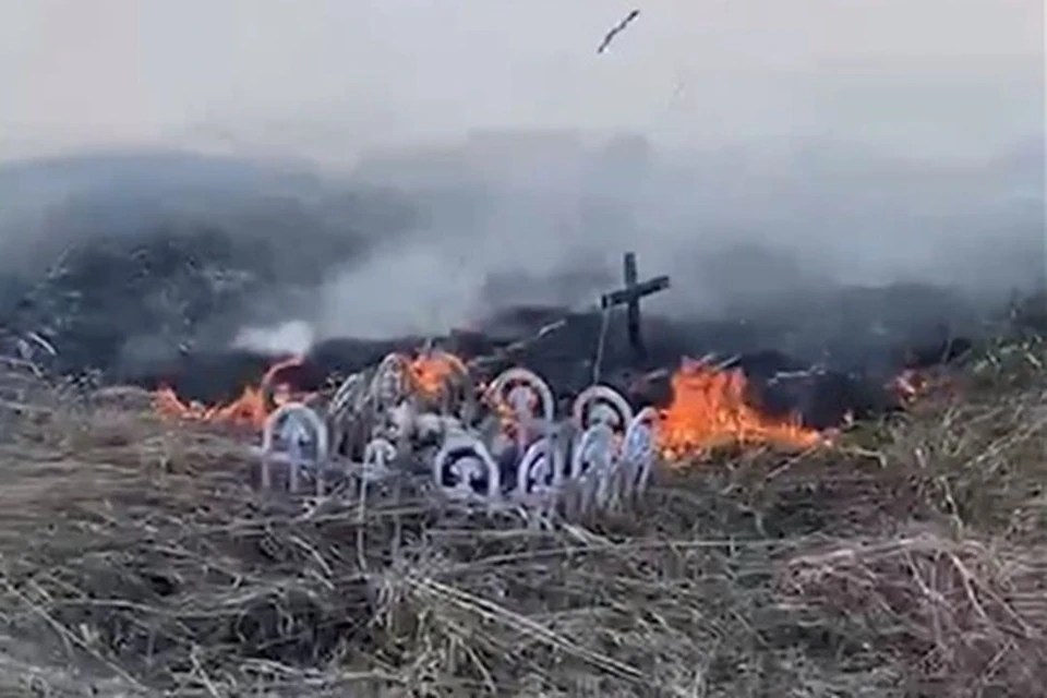 В поселке Линево в Новосибирской области загорелось кладбище домашних животных. Фото: Кадр из видео