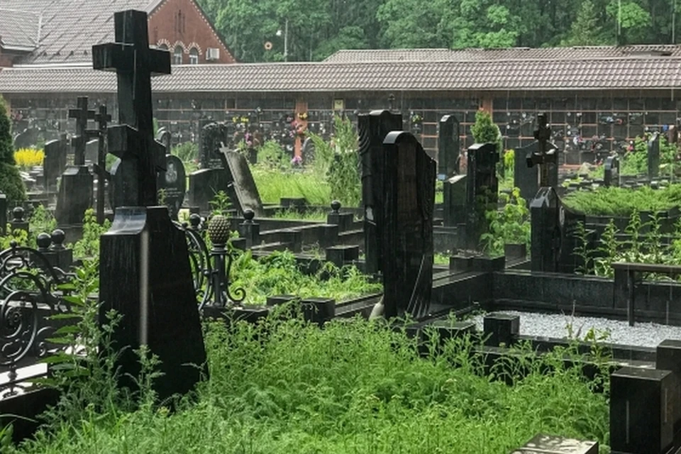 В основные классы причин смертности с начала 2022 года входят болезни системы кровообращения, новообразования, органов дыхания и пневмонии