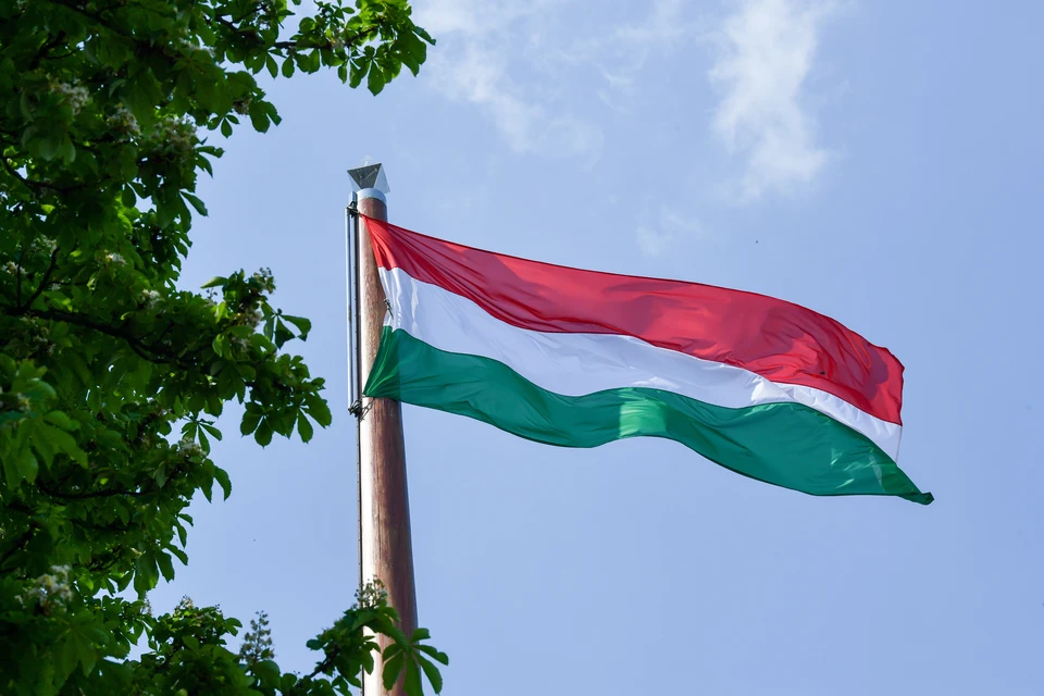 Венгрия наложит вето на инициативу ЕС ограничить импорт российских энергоресурсов
