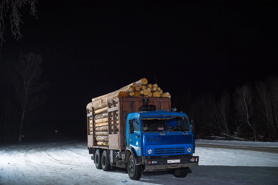 В Приморье нашли грузовик с грузом ценных пород деревьев без документов
