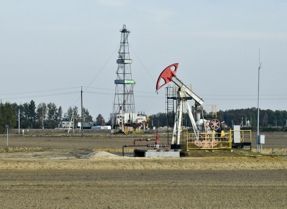 Telegraph: ОПЕК не планирует наращивать добычу нефти для помощи Западу в смягчении последствий от скачка цен
