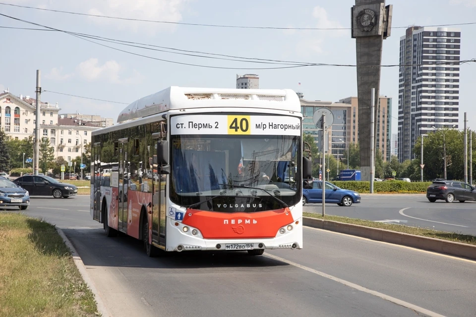 На 9 маршрутов не нашлось перевозчиков