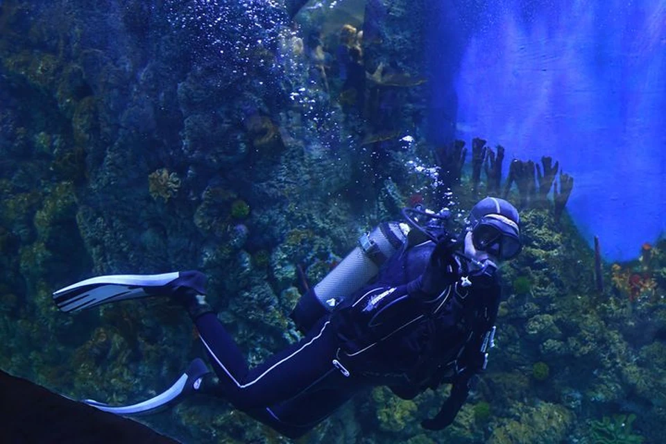 В Приморье много удивительных мест для подводного плавания.