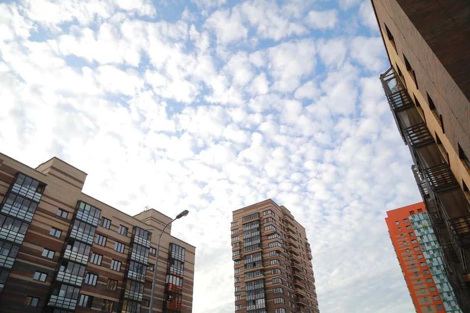 В Красноярском крае стоимость квартир в новостройках выросла на 6%