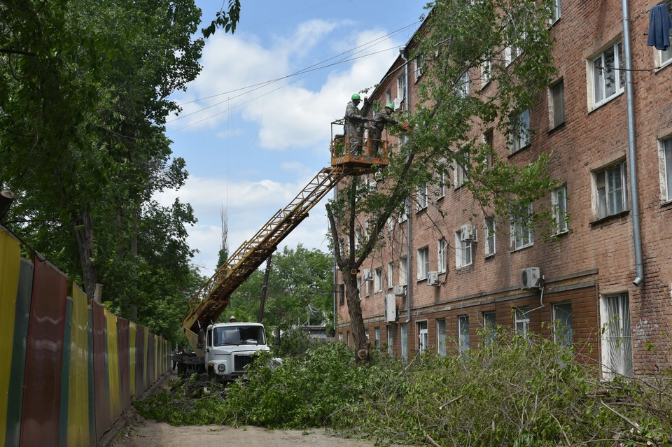 На улице Ляхова в Астрахани опилили аварийные деревья