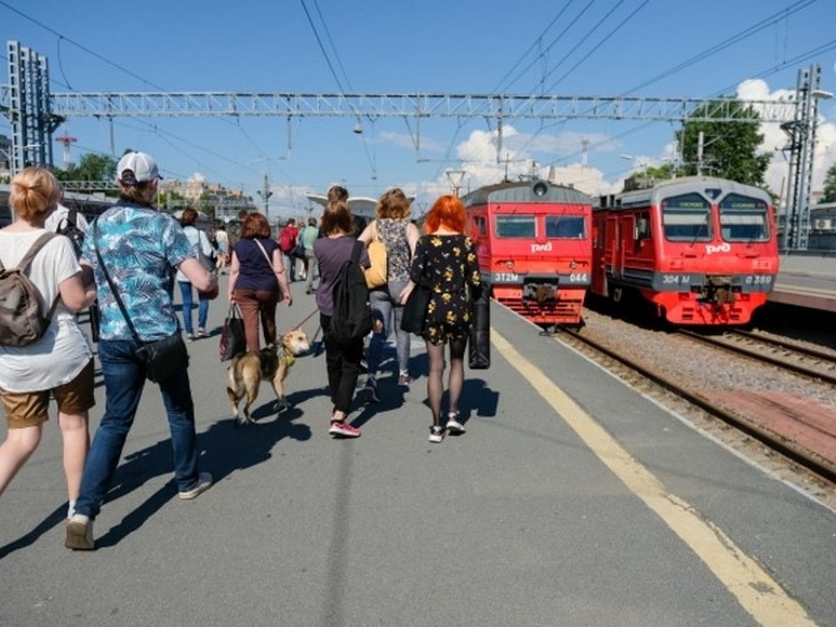 Через Брянск летом пустят дополнительные поезда в Адлер и Анапу - KP.RU