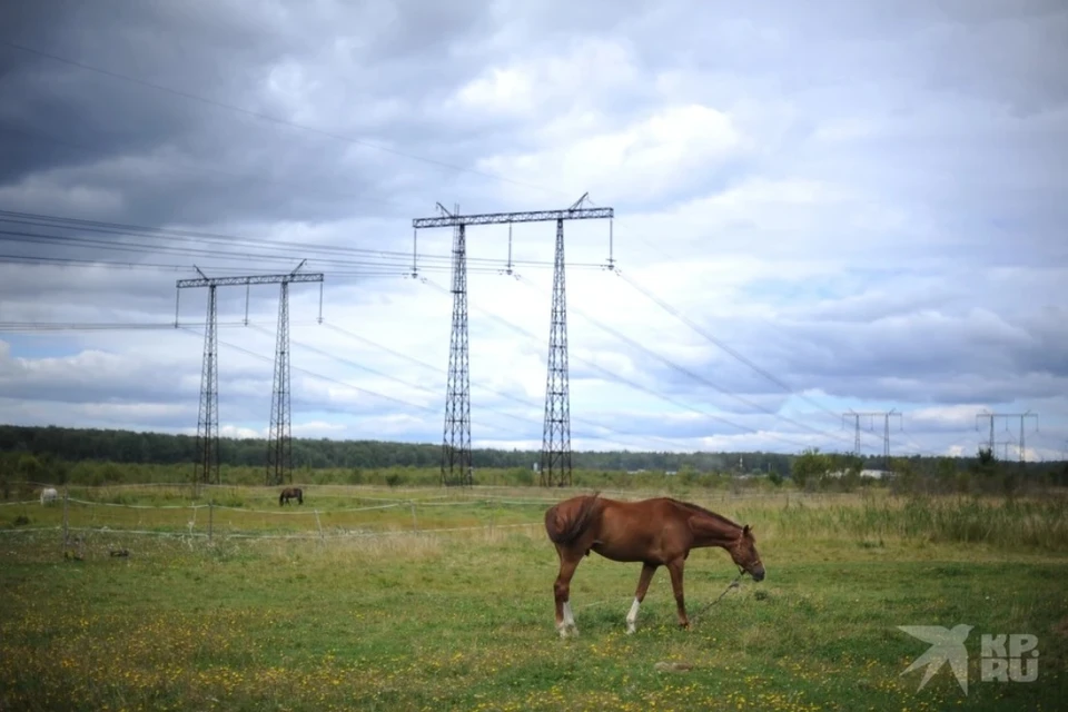 Где в Рязанской области 16 мая массово отключат электричество и газ.