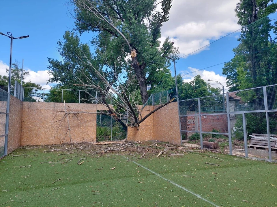 Дерево упало на теннисные корты.