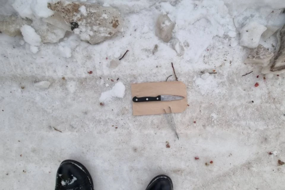 Нож убийца выкинул рядом с домом. Фото: СКР по Мурманской области