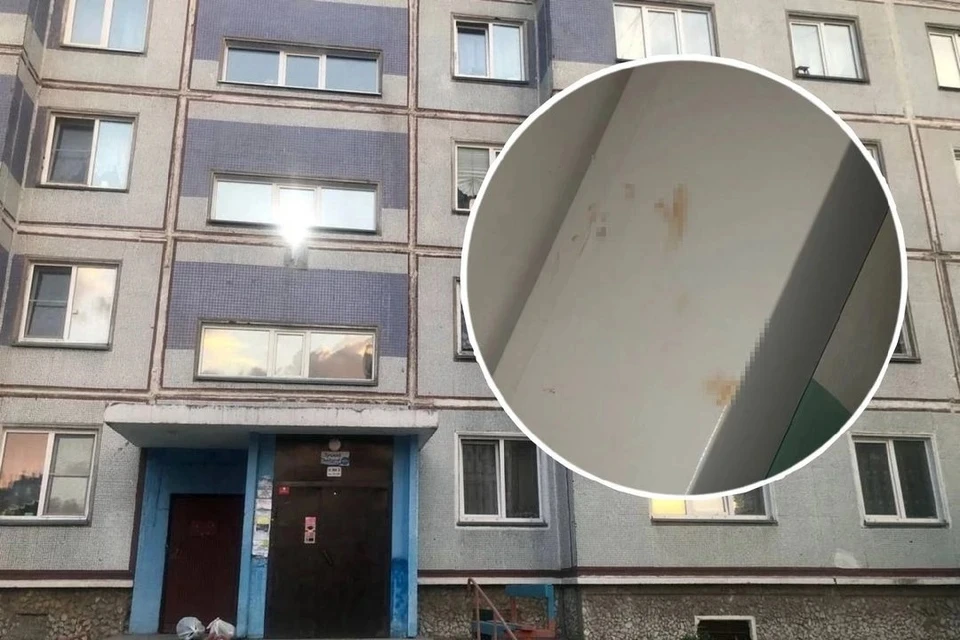 Убийство произошло днем. Фото: предоставлено местными жителями