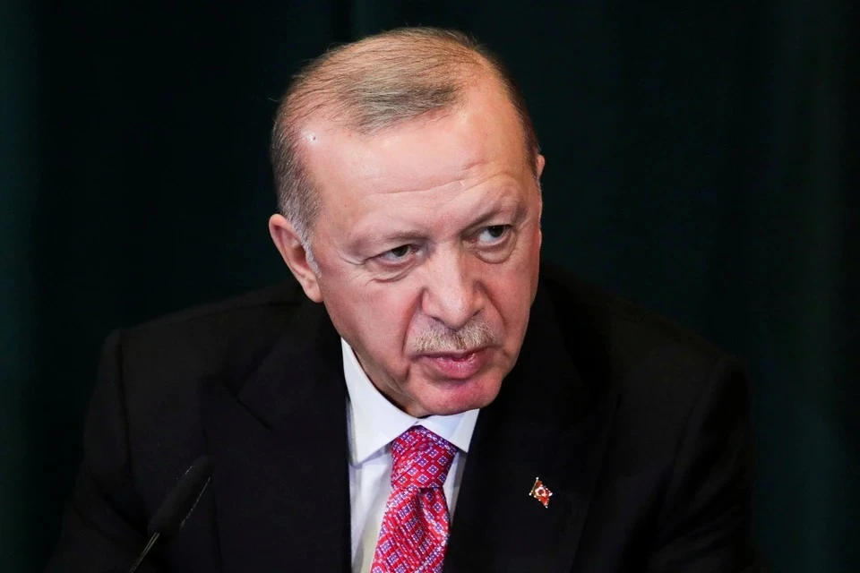 Эрдоган заявил, что Турция не поддержит членство Швеции и Финляндии в НАТО