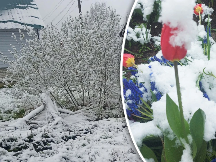 «Весна, ты где?!»: Нижегородскую область завалило снегом за неделю до лета