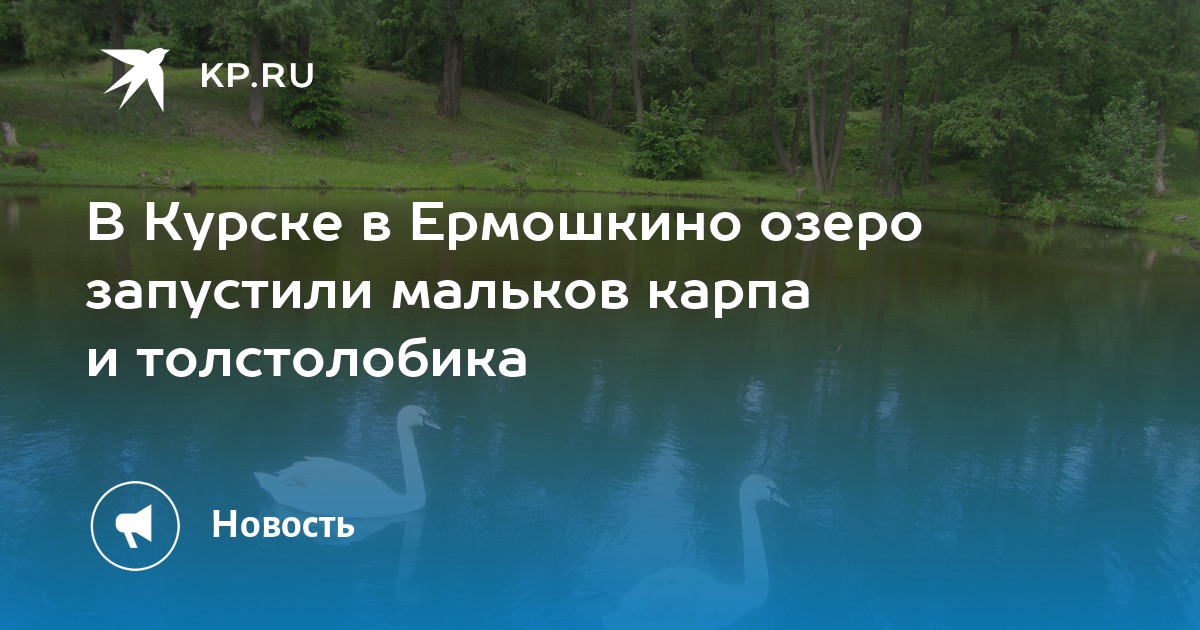 Ермошкино озеро курск карта