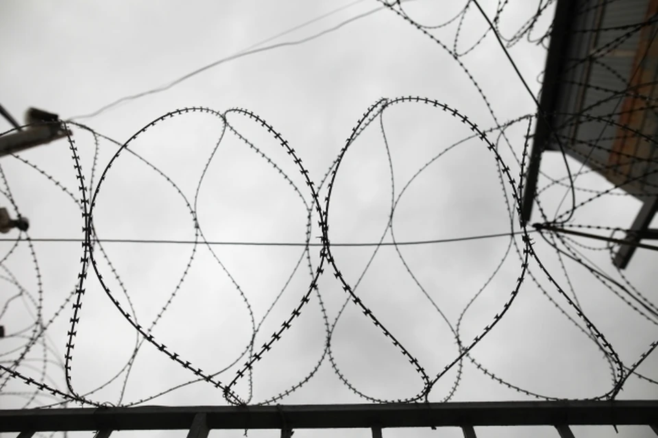 Суд приговорит томича к 6 годам лишения свободы с отбыванием наказания в исправительной колонии строгого режима с ограничением свободы на срок 1 год 6 месяцев.