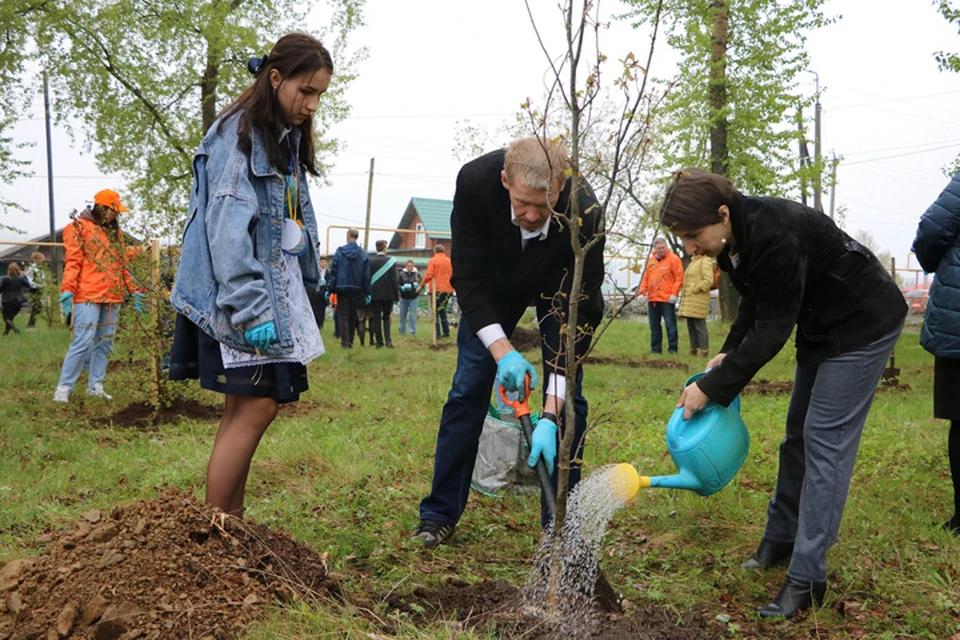 В высадке деревьев приняли участие родители и выпускники школы Валериановска