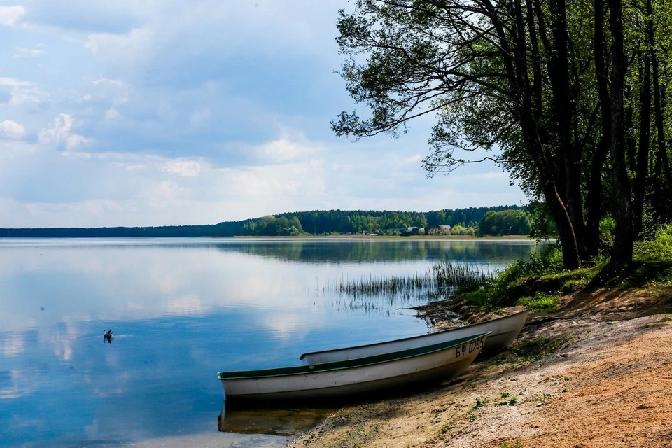 Озеро Нарочь. Фото: oir.mobi