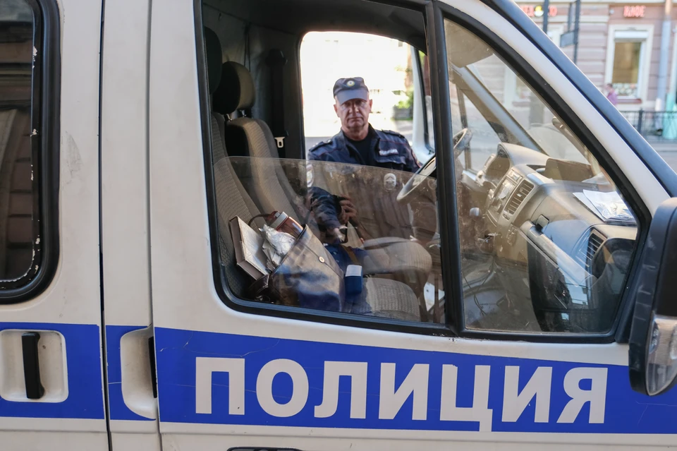 Полиция разыскивает восемь человек, избивших парня с девушкой в центре Петербурга
