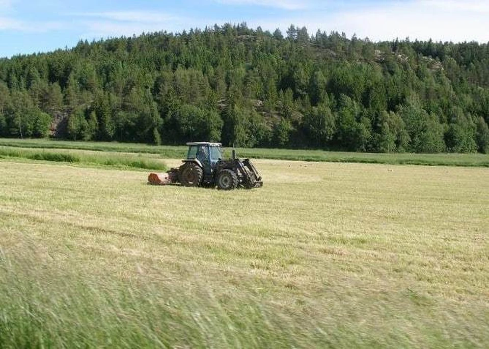 Фото: agro.permkrai.ru