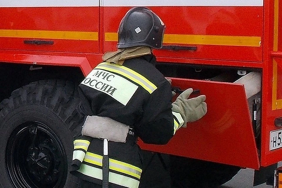В Тверской области спасатели потушили торфяной пожар