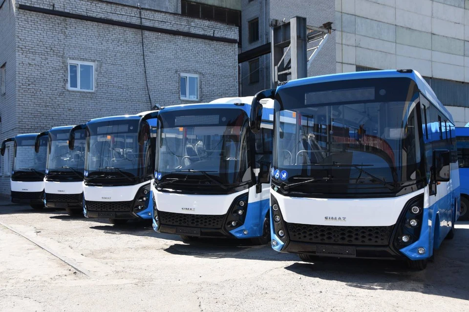 Расцветка автобусов удивительным образом напоминает окрас «Львят»