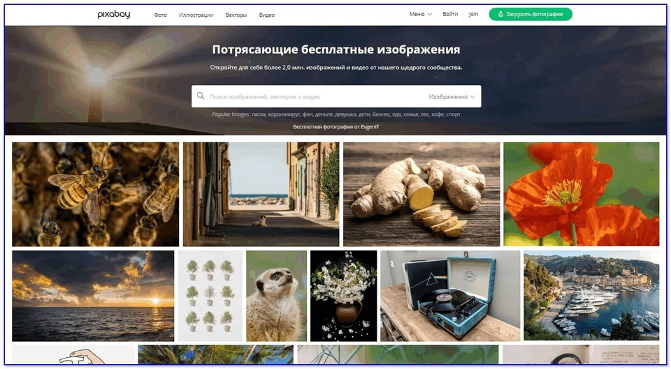 Pixabay прекратил работу в России Фото: скриншот сайта