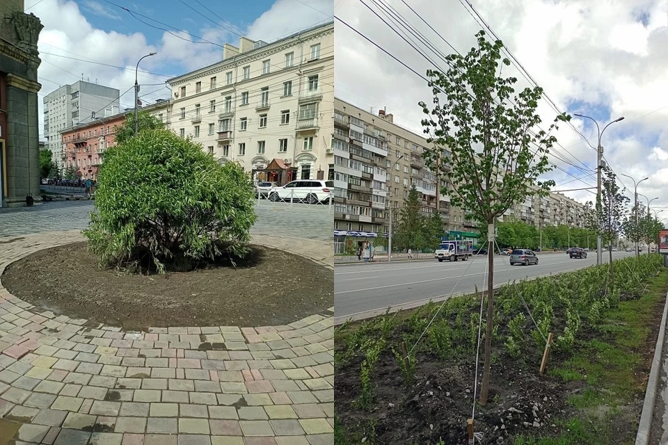 Фото на вокзальной магистрали новосибирск