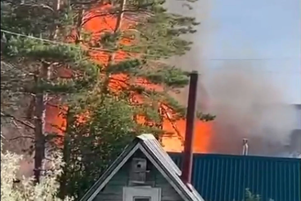 Дом загорелся рано утром. Фото: скриншот из видео
