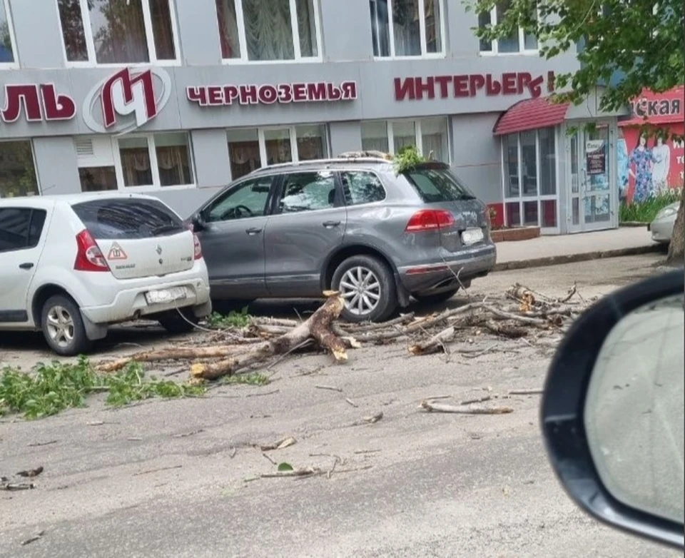 Владельца ждал неприятный сюрприз. Фото: "Подслушано Самара"