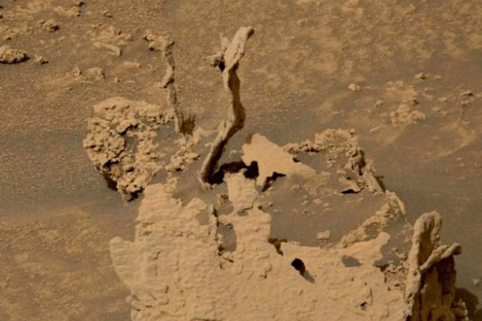 Энтузиасты считают ростки следами было марсианской жизни.