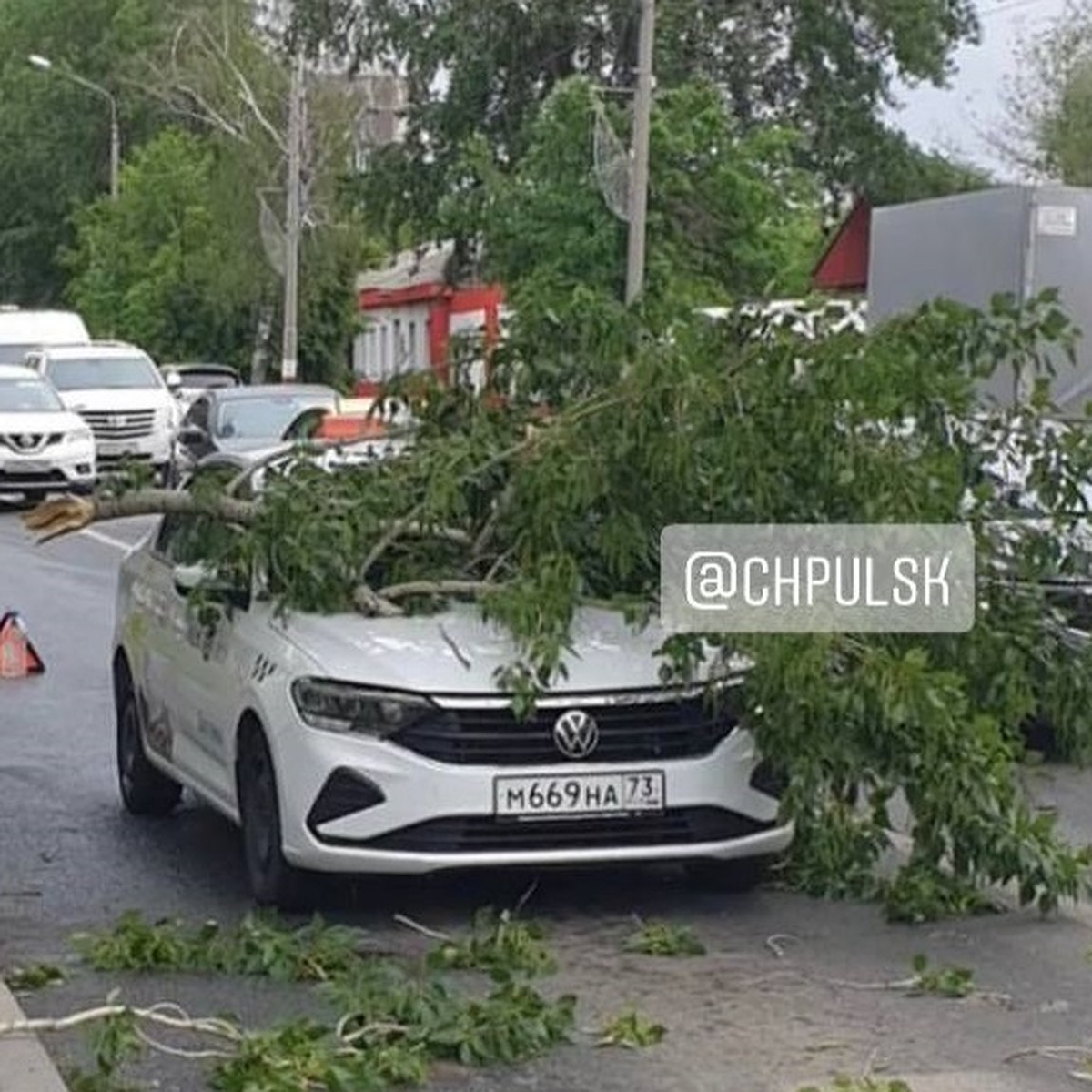 В Ульяновске рухнувшая на машину ветка стала причиной пробки - KP.RU