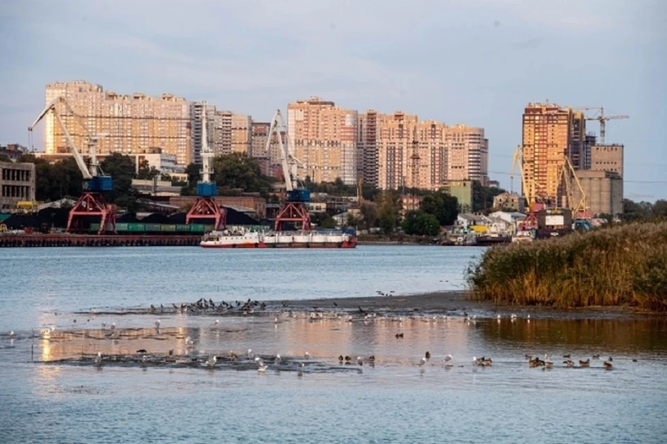 Порт переедет на левый берег Дона в два этапа.