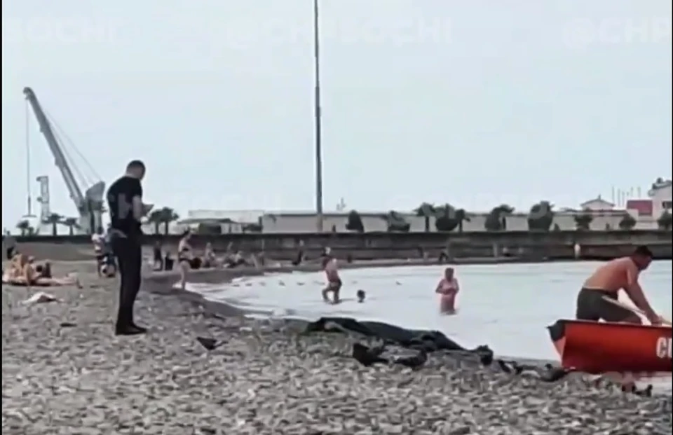 В море обнаружили труп человека. Кадр из видео t.me/chp_sochi/9415.