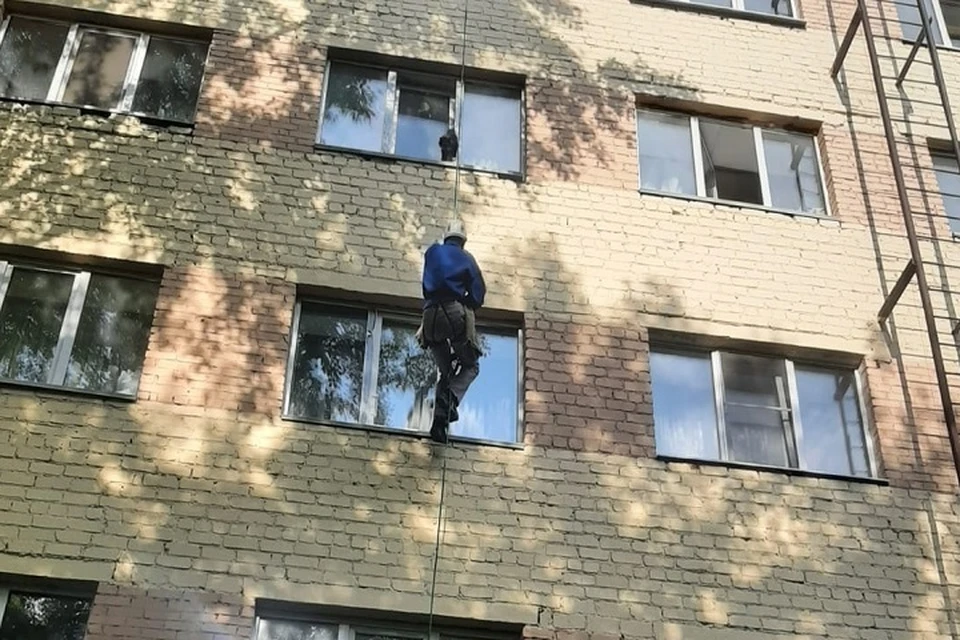 О хозяевах животного до сих пор ничего неизвестно. Фото: ЗооСпас в Екатеринбурге