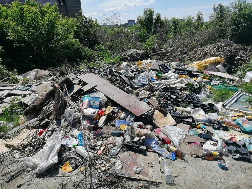 В Тюмени обнаружили свалку отходов на берегу реки. Фото - Оксана Трубина.