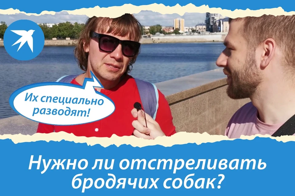 Опросили жителей Челябинска на улицах города