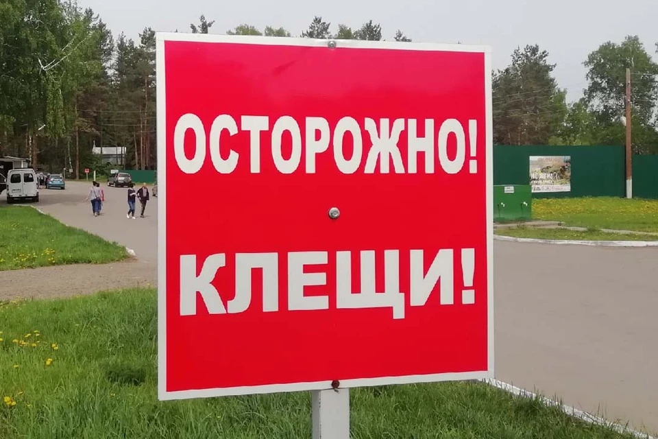 Активность клещей все еще высокая
